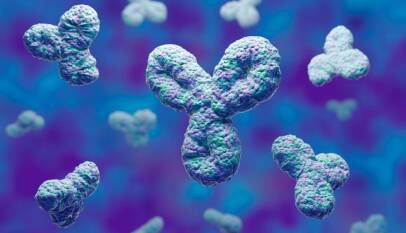 ADA Antidrug Antibodies