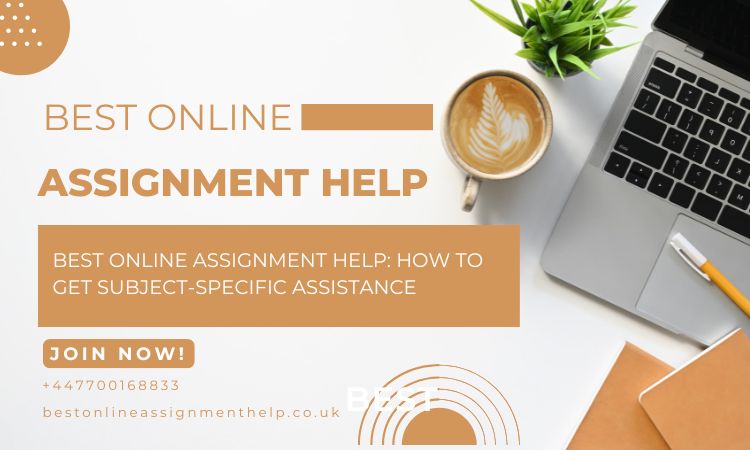 Best Online Assignment Help