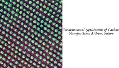 Environmental Applications of Carbon Nanoparticles: A Green Future