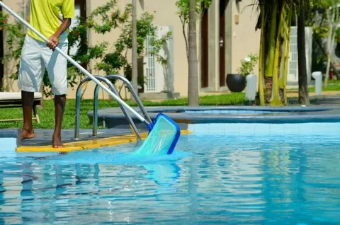 Pool Water Purification vs Regular Cleaning What’s the Difference